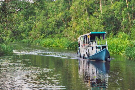 Borneo: Orangutani lodí v NP Tanjung Puting