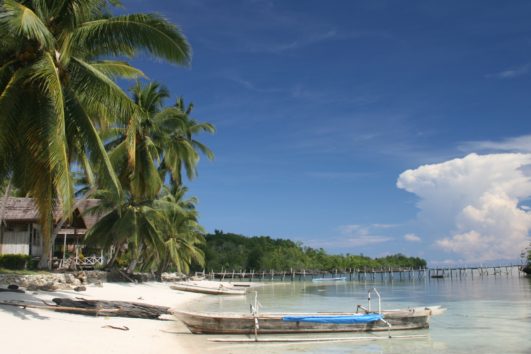 Sulawesi: ostrov Celebes od jihu na sever