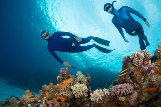 Freediving