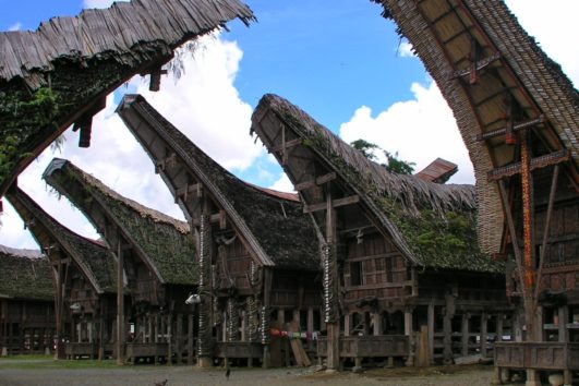 Sulawesi